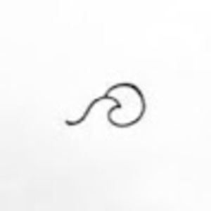 Meet your Posher, Aubrie